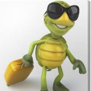 Meet your Posher, Mayda